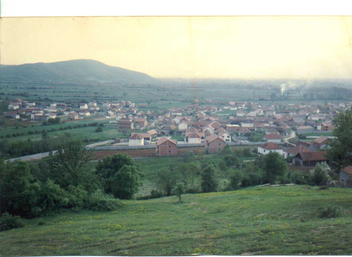 cellopek2.jpg