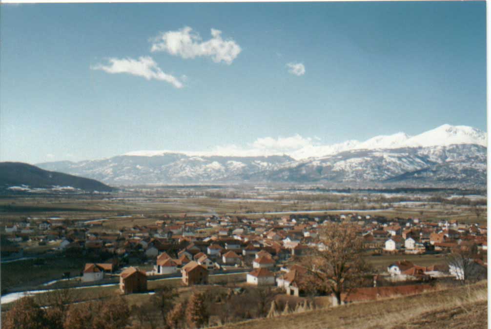cellopek3.jpg