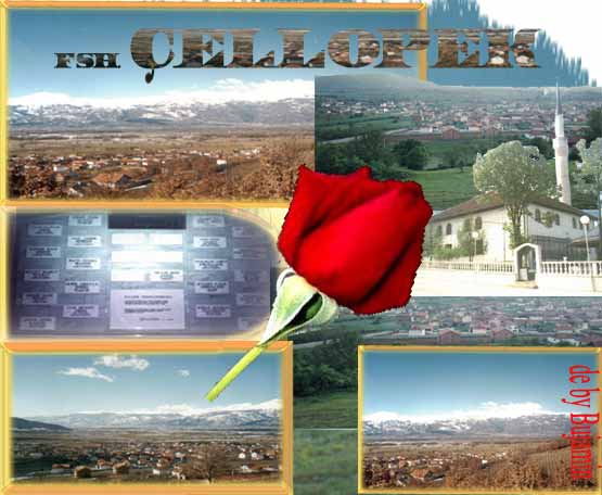 panorama-cellopek.jpg