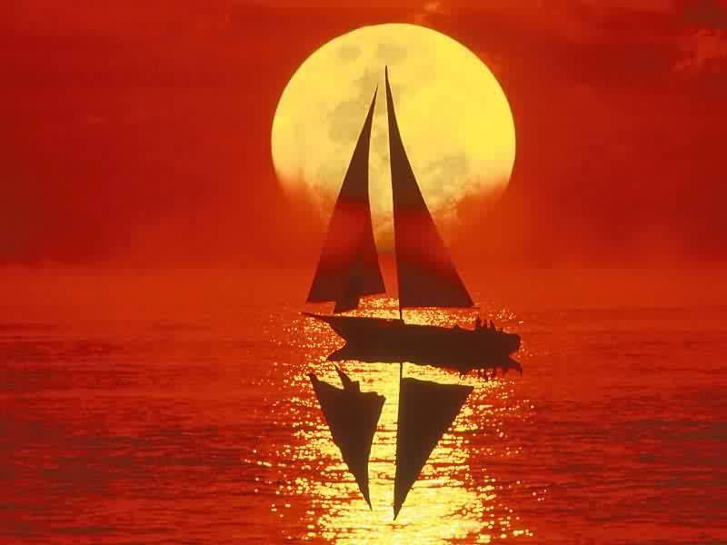 pict_3.jpg